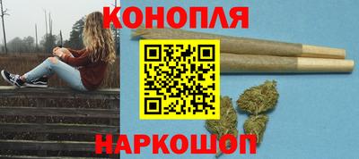 стафф Дубна