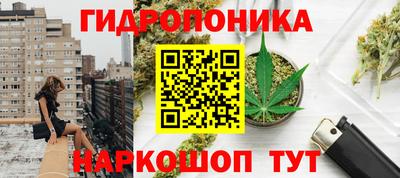 стафф Дубна