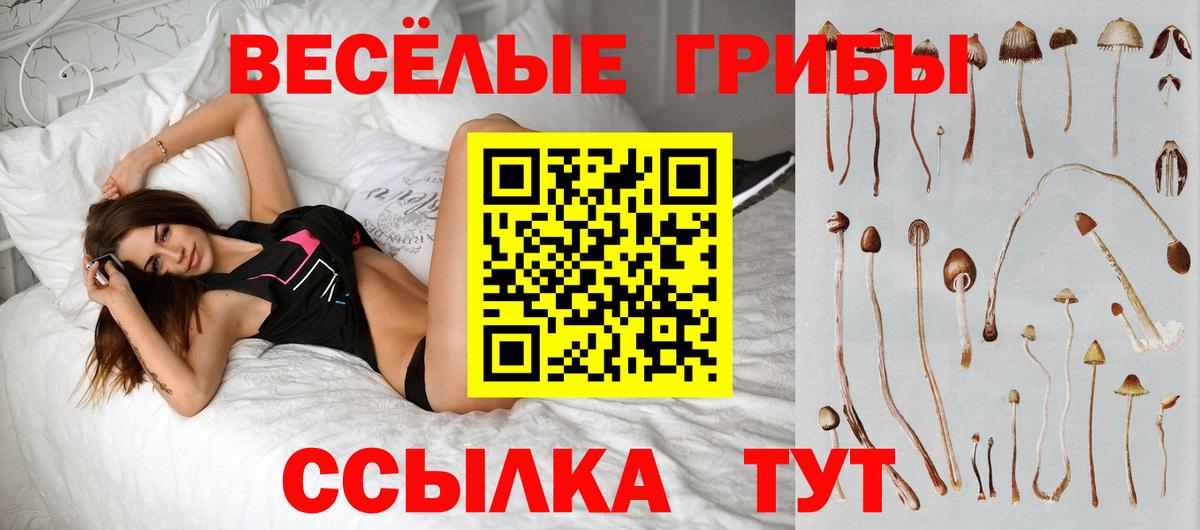 Галлюциногенные грибы прущие грибы Лабытнанги